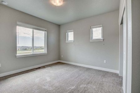 New construction Townhouse house 6248 Vernazza Way, Windsor, CO 80550 - photo 76 76