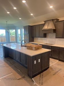 New construction Single-Family house 100 Aero Vista Drive, Caddo Mills, TX 75135 Colca II FE- photo 3 3