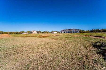 New construction Single-Family house 4427 Tin Top Road, Weatherford, TX 76087 - photo 4 4