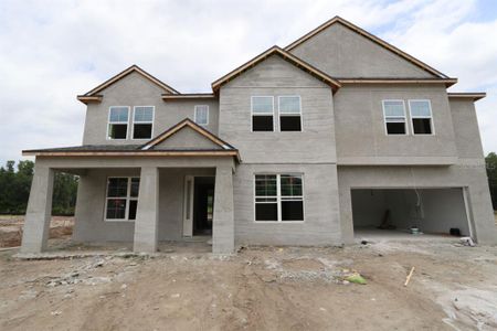 New construction Single-Family house 10634 New Morning Drive, Tampa, FL 33647 Grandshore II- photo 3 3