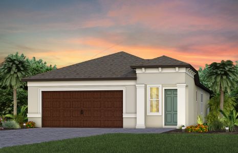 New construction Single-Family house Cypress Bend Drive, Wesley Chapel, FL 33545 - photo 10 10