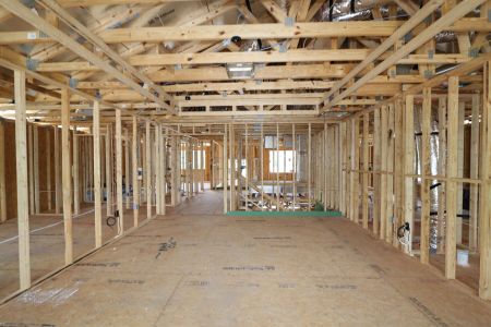 New construction Single-Family house 10605 New Morning Drive, Tampa, FL 33647 Sonoma II- photo 19 19