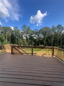 New construction Single-Family house 7434 Big Creek Drive, Douglasville, GA 30135 Haven- photo 24 24