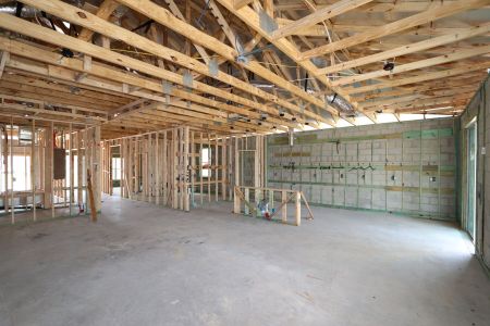New construction Single-Family house 32568 Sapna Chime Drive, Wesley Chapel, FL 33545 Barcello- photo 34 34