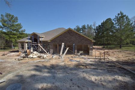 New construction Single-Family house 110 Noah Court, Livingston, TX 77320 - photo 6 6