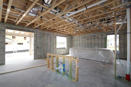 New construction Single-Family house 2463 Sunny Pebble Loop, Zephyrhills, FL 33540 Castellana- photo 22 22