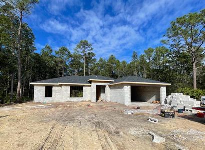 New construction Single-Family house 42043 Tamarac Street, Eustis, FL 32736 - photo