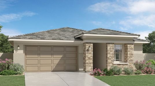 New construction Single-Family house Douglas Plan 4021, 640 S. Olympic Drive, Gilbert, AZ 85296 - photo