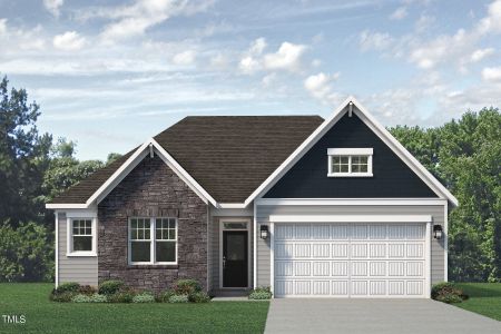 New construction Single-Family house 370 Tormore Drive, Sanford, NC 27330 Tucker- photo 0
