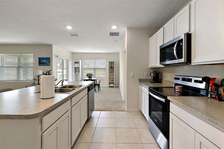 New construction Single-Family house 2720 Dumont Lane, Tavares, FL 32778 ARIA- photo 24 24