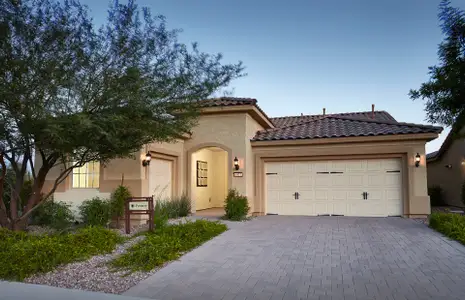 New construction Single-Family house 7658 W Cactus Wren Way, Florence, AZ 85132 Preserve- photo 0