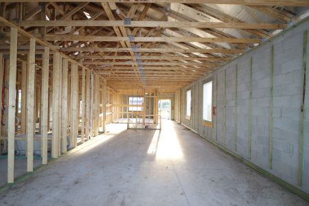New construction Single-Family house 2952 Marine Grass Drive, Wimauma, FL 33598 Picasso- photo 18 18