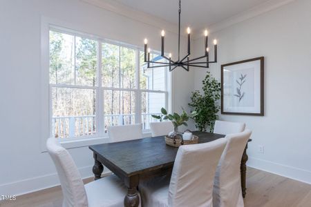 Briar Chapel by Homes by Dickerson in Chapel Hill - photo 16 16