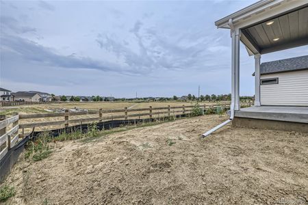 New construction Single-Family house 4917 Thistle Drive, Brighton, CO 80601 Mosaic 6- photo 25 25