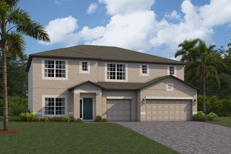New construction Single-Family house 10805 Rolling Moss Road, Tampa, FL 33647 - photo 11 11