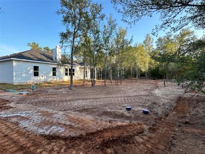 New construction Single-Family house 124 Heleakala Dr, Bastrop, TX 78602 - photo 18 18