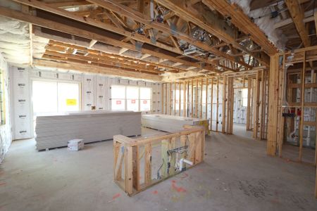 New construction Single-Family house 2486 Clary Sage Drive, Spring Hill, FL 34609 Santa Monica- photo 93 93
