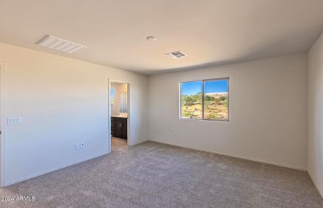 New construction Single-Family house 5007 S 251St Drive, Buckeye, AZ 85326 Sunflower- photo 13 13