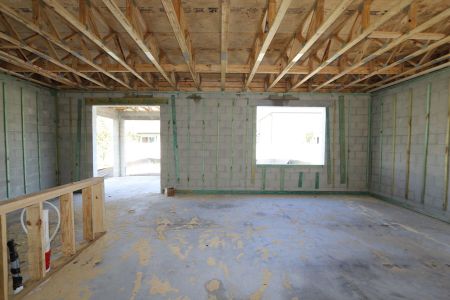 New construction Single-Family house 3031 Adams Cross Drive, Zephyrhills, FL 33540 Castellana- photo 18 18
