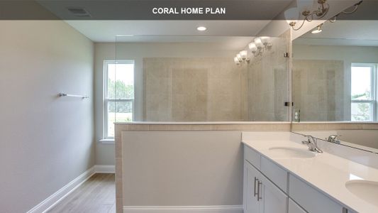 New construction Single-Family house 2863 Wild Pine Ln, Green Cove Springs, FL 32043 CORAL- photo 14 14