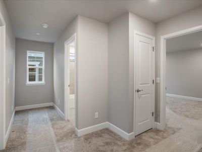 New construction Duplex house 8177 Mount Ouray Road, Littleton, CO 80125 - photo 17 17