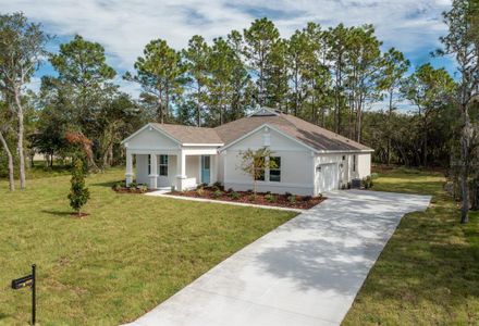 New construction Single-Family house 761 N Spend A Buck Drive, Inverness, FL 34453 - photo 0 0