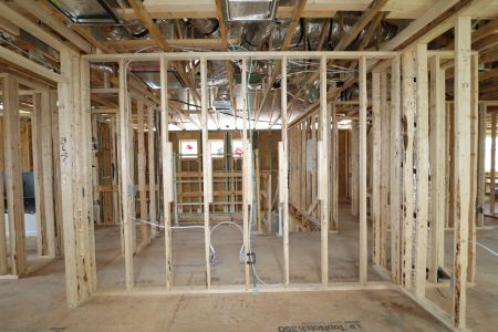 New construction Single-Family house 2852 Misty Marble Drive, Zephyrhills, FL 33540 Castellana- photo 27 27