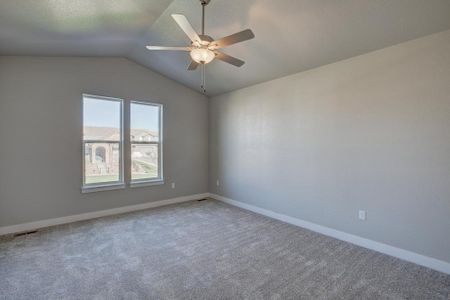 New construction Townhouse house 6248 Vernazza Way, Windsor, CO 80550 - photo 83 83