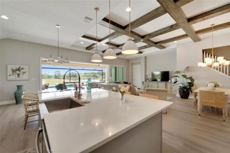 New construction Single-Family house 5995 Golden Nettle Drive, Apollo Beach, FL 33572 - photo 14 14