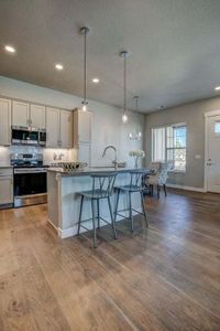 New construction Townhouse house 827 Schlagel Street, Fort Collins, CO 80524 - photo 19 19