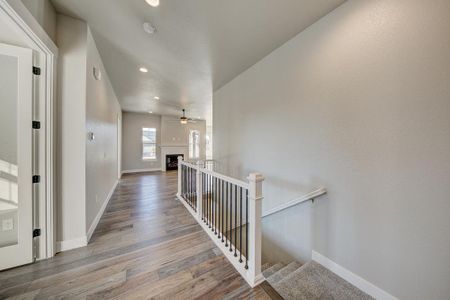 New construction Multi-Family house 8412 Cromwell Circle, Windsor, CO 80528 - photo 35 35
