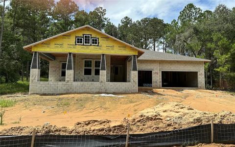 New construction Single-Family house 3898 Southern Valley Loop, Brooksville, FL 34601 - photo 0