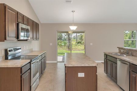 New construction Single-Family house 10328 Meadow Wren Avenue, Weeki Wachee, FL 34613 - photo 4 4