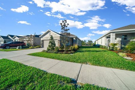 New construction Single-Family house 8051 Penrose Place, Wildwood, FL 34785 - photo 7 7