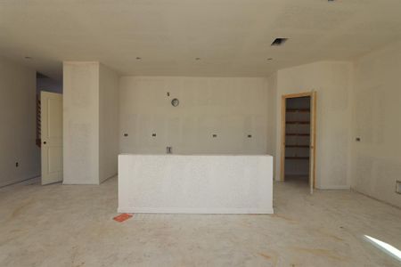 New construction Single-Family house 144 Cherry Vine Dr, Buda, TX 78610 Cadence- photo 4 4