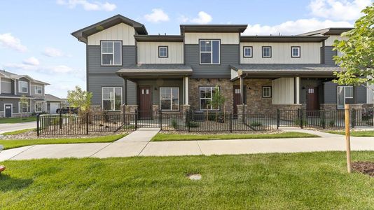New construction Multi-Family house 950 Schlagel Street, Unit 3, Fort Collins, CO 80524 Timberline- photo 50 50
