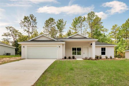 New construction Single-Family house 6711 Sw 151St Loop, Ocala, FL 34473 - photo 0