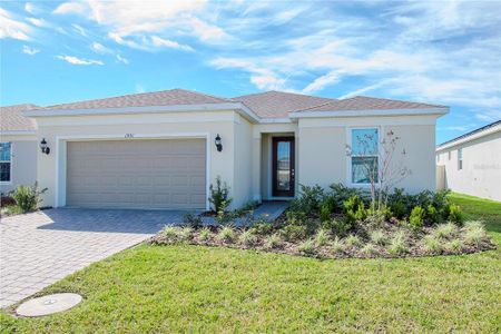 New construction Single-Family house 1991 Spring Shower Circle, Kissimmee, FL 34744 - photo