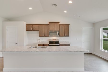 New construction Single-Family house 14152 Spring Hill Drive, Spring Hill, FL 34609 - photo 10 10