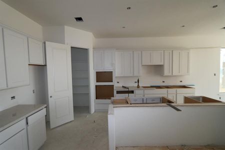 New construction Single-Family house 2305 Silver Leaf Drive, Northlake, TX 76226 Agave- photo 3 3