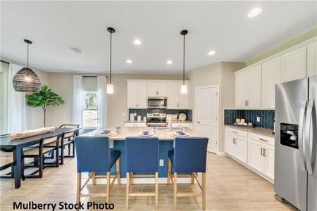 New construction Single-Family house 5940 Catamaran Avenue, Haines City, FL 33844 - photo