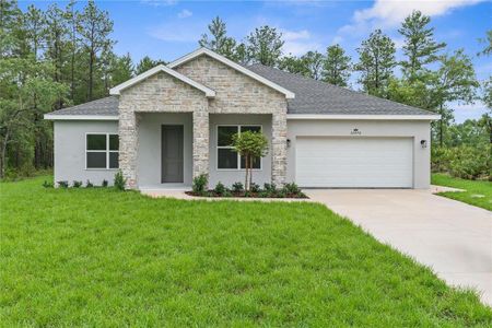 New construction Single-Family house 16036 Marsh Quail Rd, Weeki Wachee, FL 34614 Sapphire- photo 0