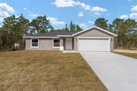 New construction Single-Family house 24053 Nw Tamarind Lane, Dunnellon, FL 34431 - photo 40 40