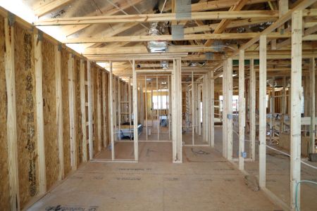 New construction Single-Family house 31810 Sapna Chime Drive, Wesley Chapel, FL 33545 Mira Lago- photo 49 49