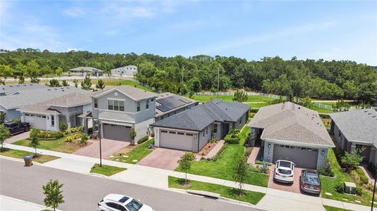 New construction Single-Family house 3149 Songbird Circle, Saint Cloud, FL 34773 - photo 34 34