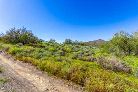 New construction Single-Family house 492XX N 15Th Avenue, New River, AZ 85087 - photo 19 19