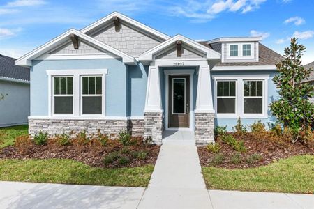 New construction Single-Family house 28756 Rambutan Drive, Wesley Chapel, FL 33543 - photo 0