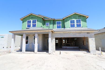 New construction Single-Family house 31835 Sapna Chime Drive, Wesley Chapel, FL 33545 Salinas- photo 24 24