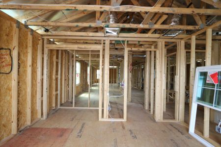 New construction Single-Family house 2857 Misty Marble Drive, Zephyrhills, FL 33540 Castellana- photo 19 19