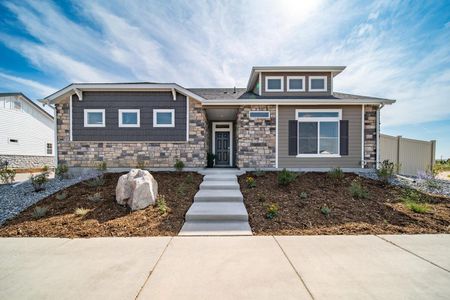 The Reserve by Oakwood Homes Co in Aurora - photo 6